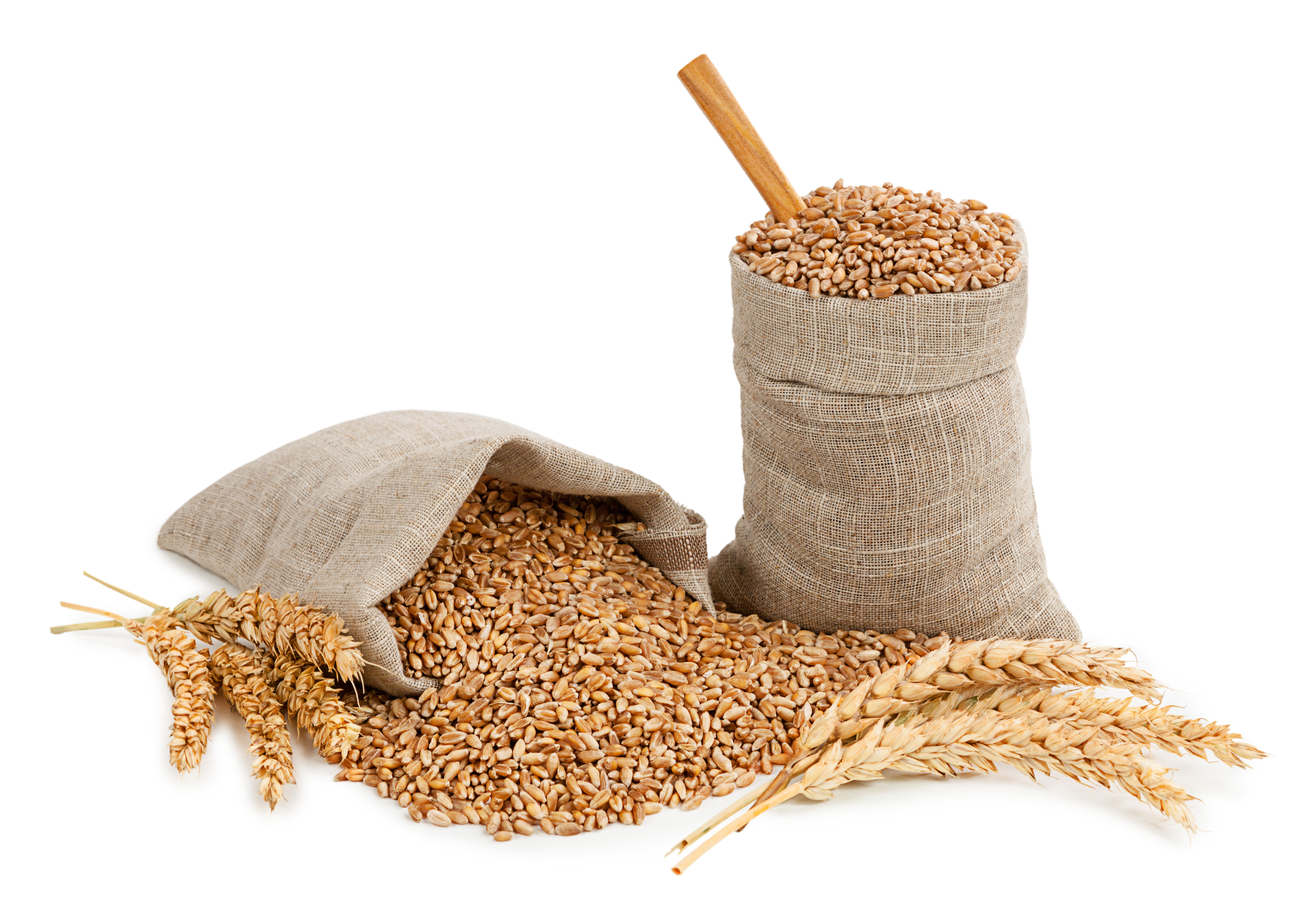 Whole Grains & High Fiber